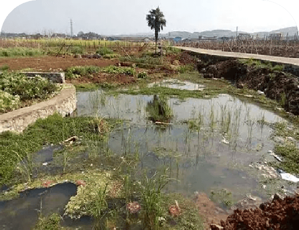 Soil and Environmental Pollution